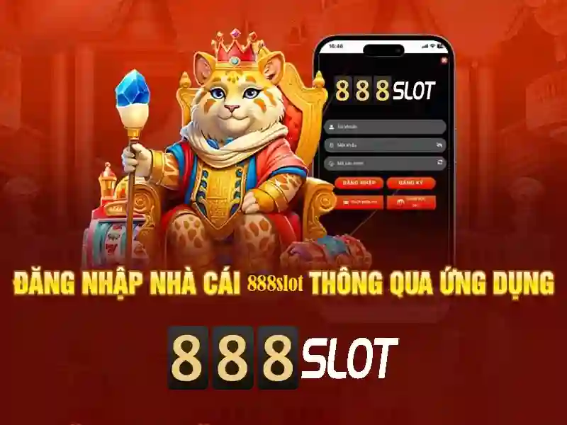 Trải nghiệm người dùng và phản hồi cộng đồng