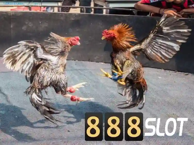 Endrick Rời Real Madrid – Câu Chuyện Phía Sau Quyết Định