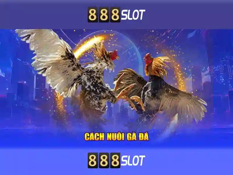 888slot – Trải nghiệm đánh bạc trực tuyến hàng đầu