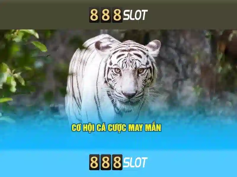 Khuyến mãi và cách đăng ký