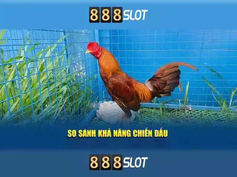 888slots bonus ohne einzahlung – khám phá ưu đãi và ứng dụng