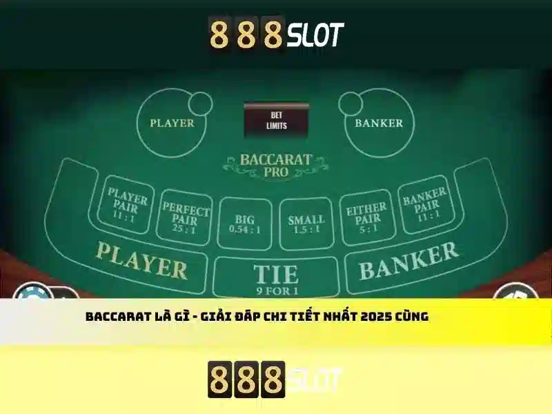 Nền tảng và độ tin cậy