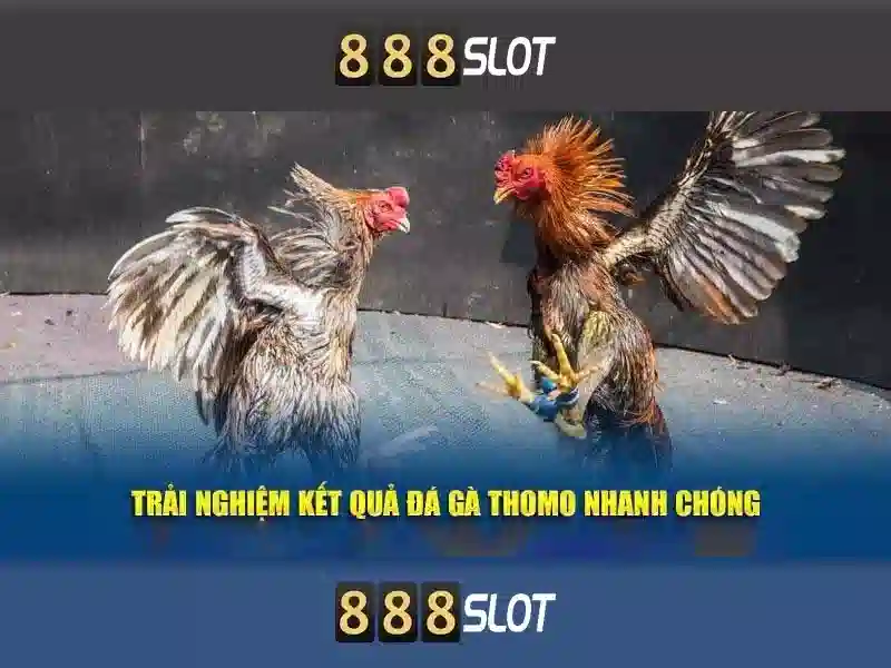 888slot com login – Trải nghiệm an toàn và đột phá