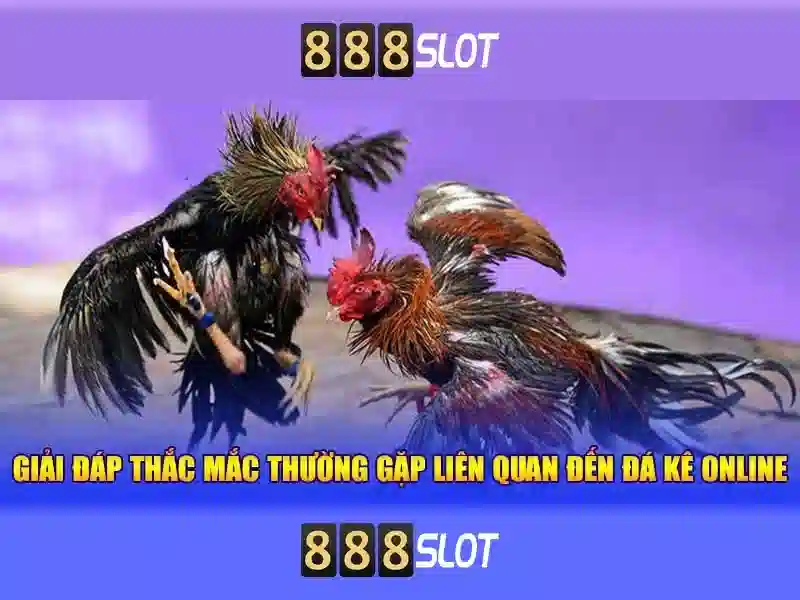 888slot và hành trình trải nghiệm casino trực tuyến