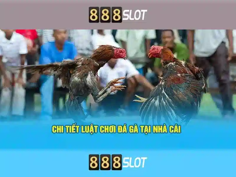 888slot - Tổng quan về nền tảng casino xèng trực tuyến