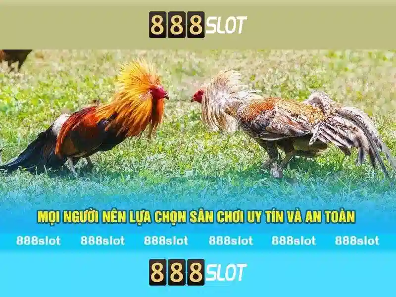 Khái quát về 888slot