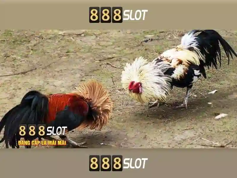 888slot: Nền tảng slot trực tuyến đa dạng và an toàn