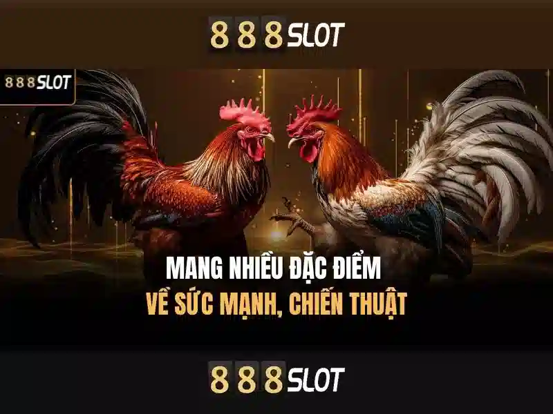 888slot - Nền tảng casino trực tuyến uy tín