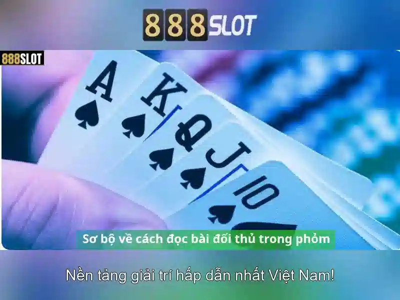 Khuyến mãi và chương trình thưởng