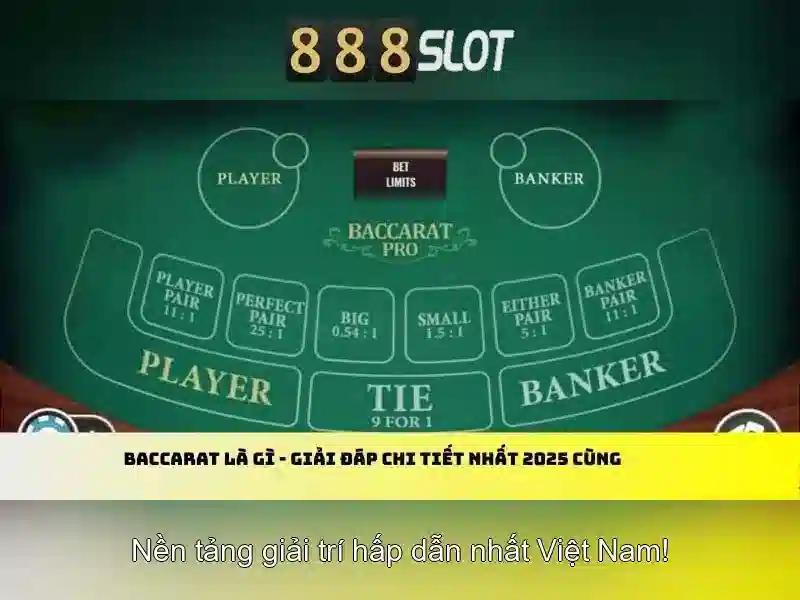 Khuyến mãi và chương trình thưởng<h>Hướng dẫn đăng ký và bắt đầu</h><p><span style=