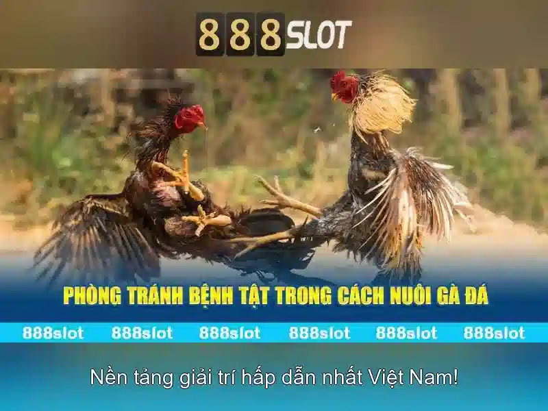 888slot: Nền tảng casino trực tuyến đáng tin cậy