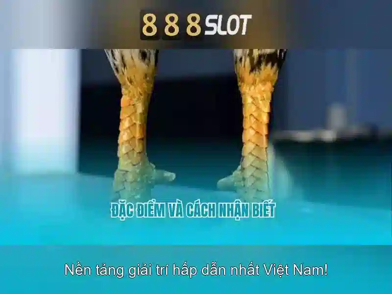 Hướng dẫn bắt đầu và thanh toán