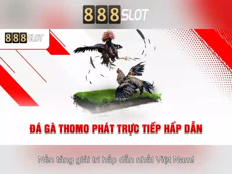 888slot: Đánh bạc trực tuyến an toàn và giải trí cao