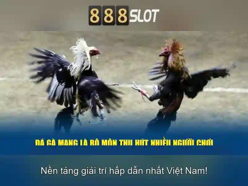 An toàn và thanh toán